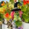 Witch.  Nellie the rainbow witch hides in with the flowers